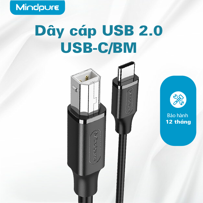 cap in USB 2.0 Type-C Mindpure US025